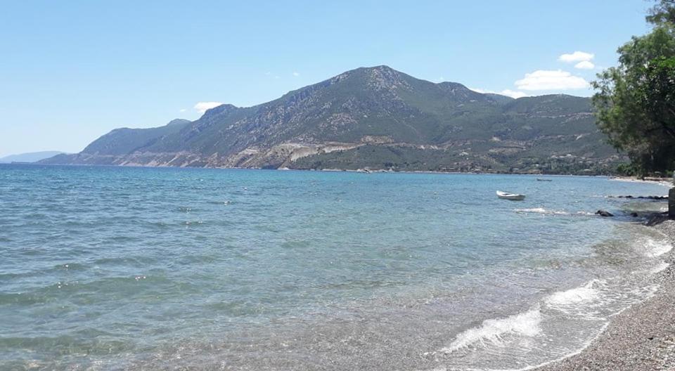 Epidaurus Small Theater Apartment מראה חיצוני תמונה